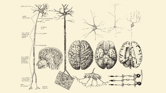 What is Declarative Memory?