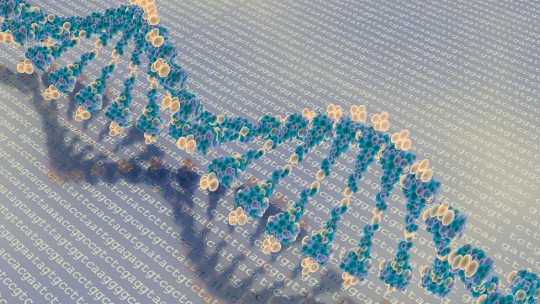 What is Epigenetics? Keys to Understand it