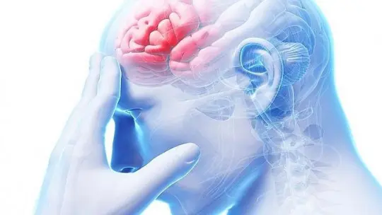 What is the Frontal Lobe and How Does it Work? What is the Frontal Lobe and How Does it Work?