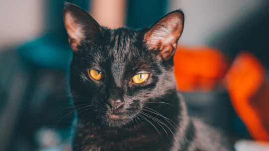 Why do superstitions exist?