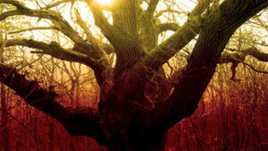 ​cognitive Therapy Based on Mindfulness: What is it and What