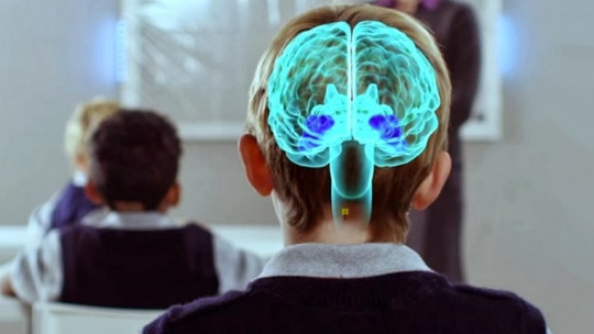 ​neuroeducation: Learning Based on Neurosciences