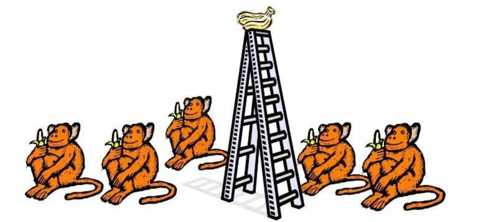 ​the Monkeys, Bananas