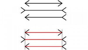 Müller Lyer Illusion: What it is and Why it Occurs