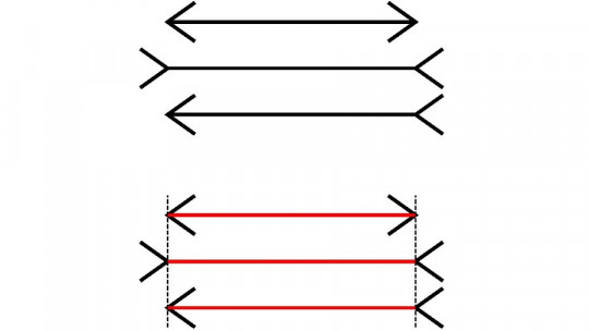 Müller-Lyer illusion