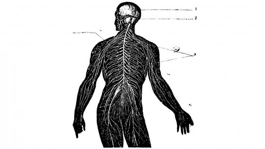 Paresthesia: Causes, Treatment and Associated Phenomena