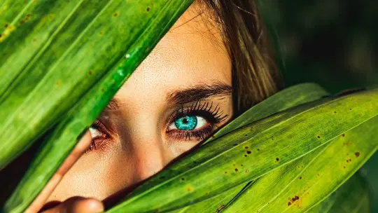 Photophobia: What it Is, Symptoms, Causes and Treatment Photophobia: What it Is, Symptoms, Causes and Treatment