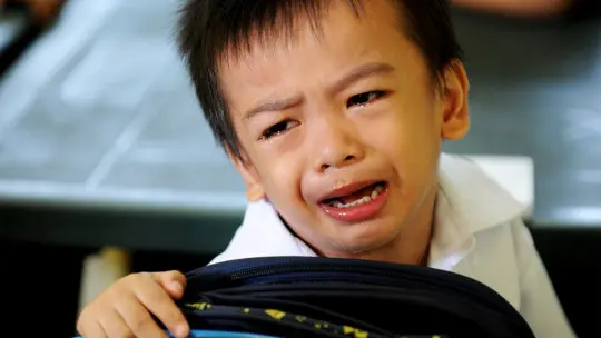 School Phobia: What it Is, Symptoms and Causes School Phobia: What it Is, Symptoms and Causes