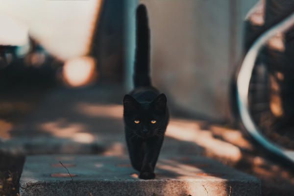 How do superstitions affect us?