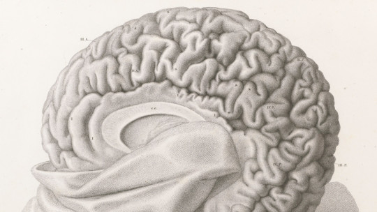 The 12 Most Important Brain Diseases