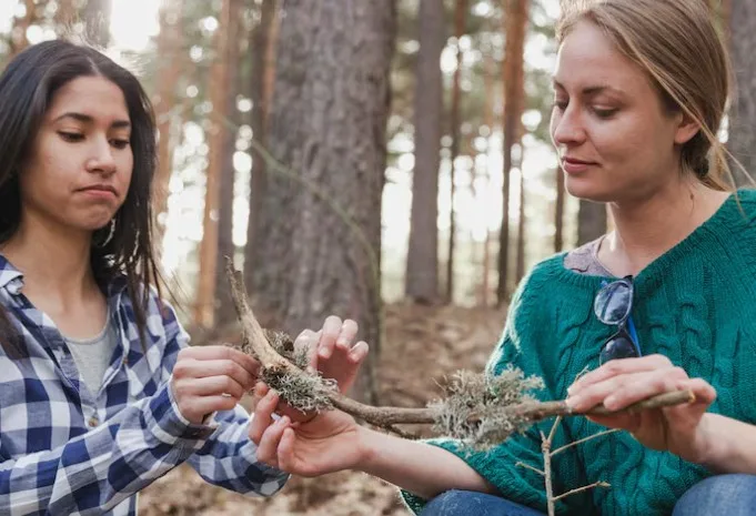 Distinguishing Naturalistic Intelligence from Nature Appreciation