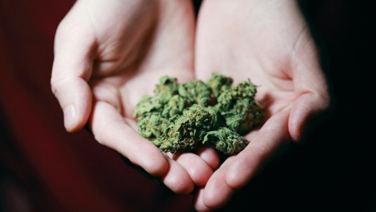 7 keys to detect cannabis addiction in young people