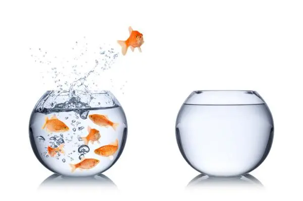 How to Get Out of the Comfort Zone