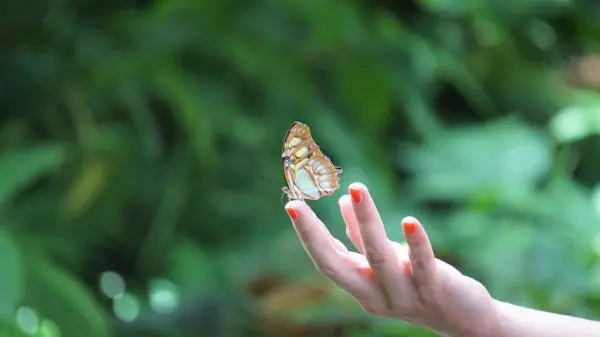 How to Practice Emotional Detachment How to Practice Emotional Detachment