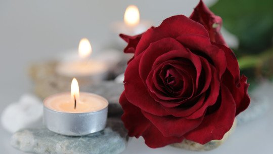 how-to-transform-grief-opportunity-growth