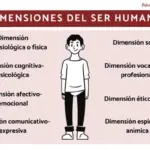 The 8 Dimensions of the Human Being