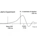 The Libet Experiment: Does Human Freedom Exist?