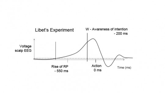 Libet experiment