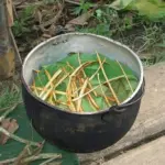 The Risks of Ayahuasca Consumption