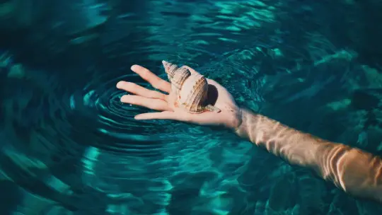 ​the 8 Types of Trust: What Are They?