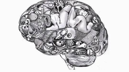 ​schizoaffective Disorder: Causes, Symptoms and Treatment