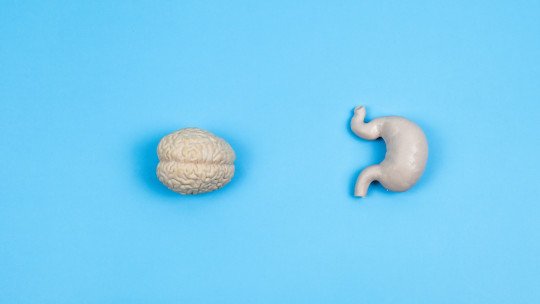 how-the-gut-brain-axis-works