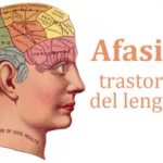 Aphasias: the Main Language Disorders