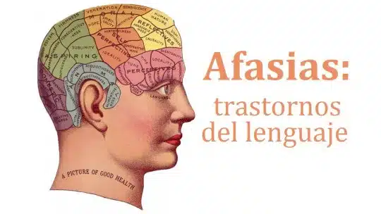 Aphasias: the Main Language Disorders