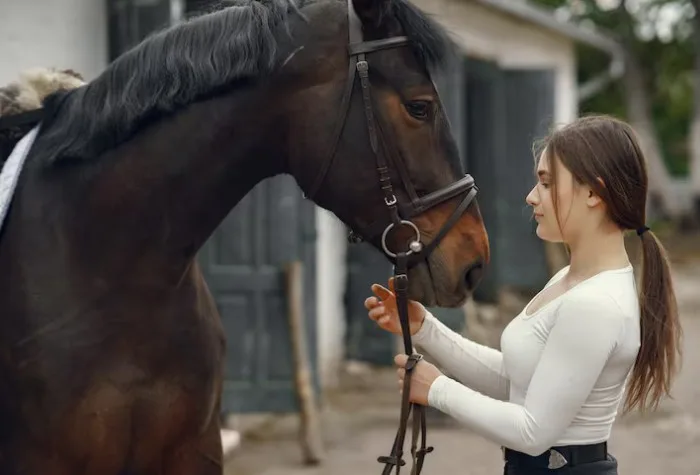 Can Working With Horses Reduce Stress and Lower Cortisol Levels?