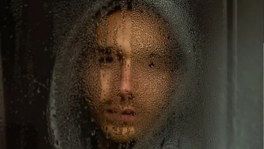Depression Negotiation Hypothesis: What it is and What it Proposes