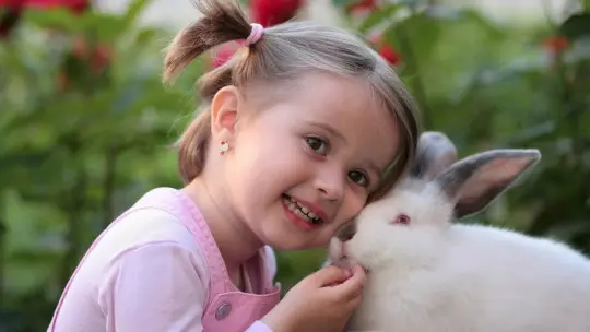 The Evolution of the Concept of Intellectual Disability The Evolution of the Concept of Intellectual Disability