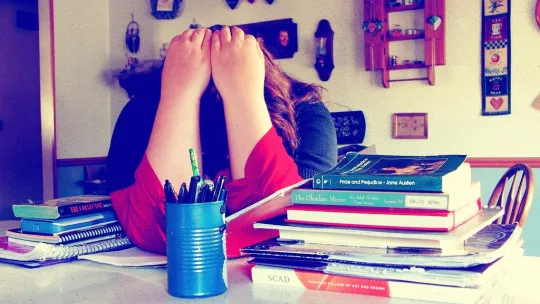 The Explanatory Model of Stress (factors, Causes and Effects)