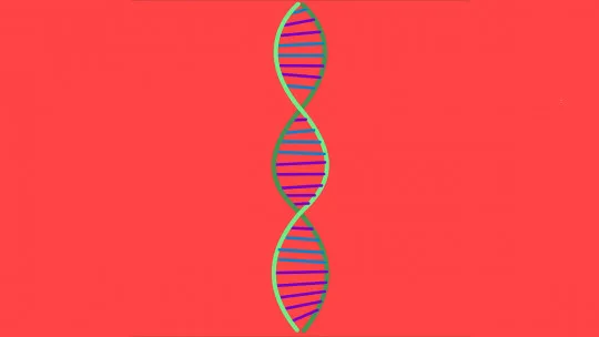 The Influence of Genetics on the Development of Anxiety