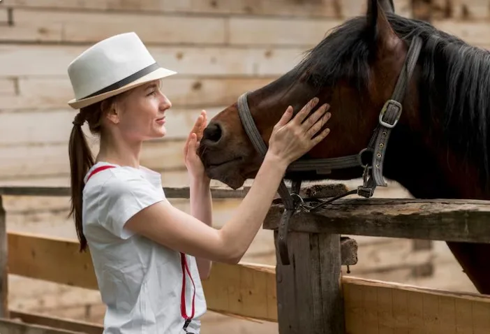 What Role Does Nonverbal Communication Play in Horse Therapy?