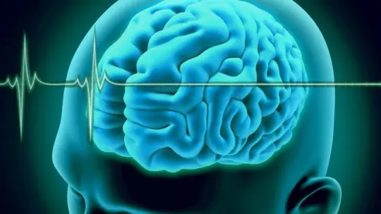 What is Brain Death? is it Irreversible?