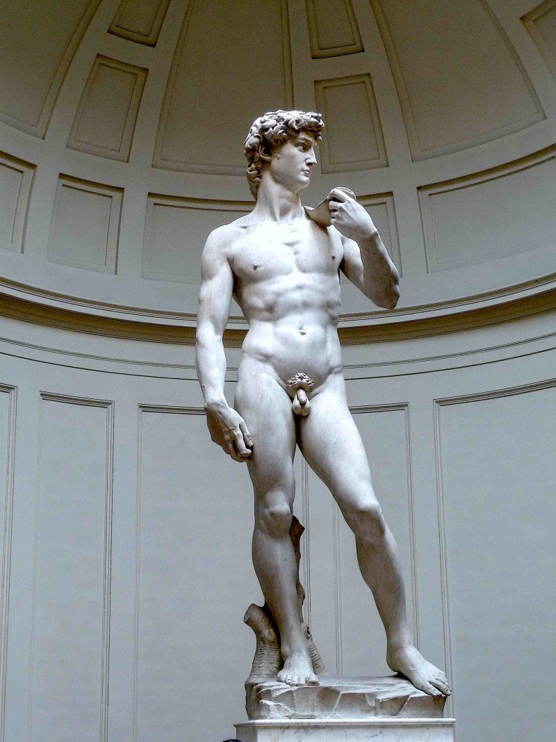 Michelangelo's David