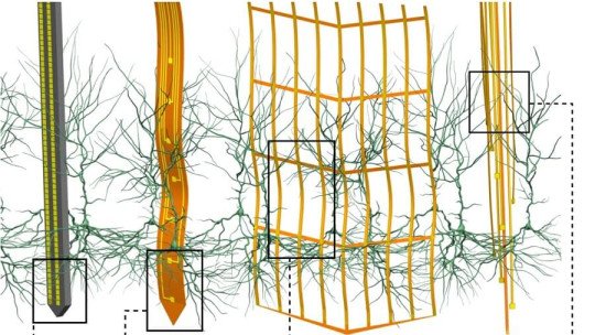 The new Brain Probes enter the brain without hurting it