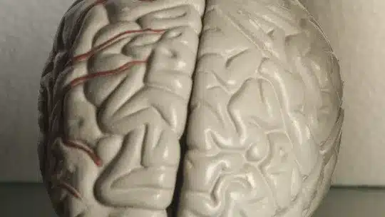 Differences Between the Right and Left Lobe